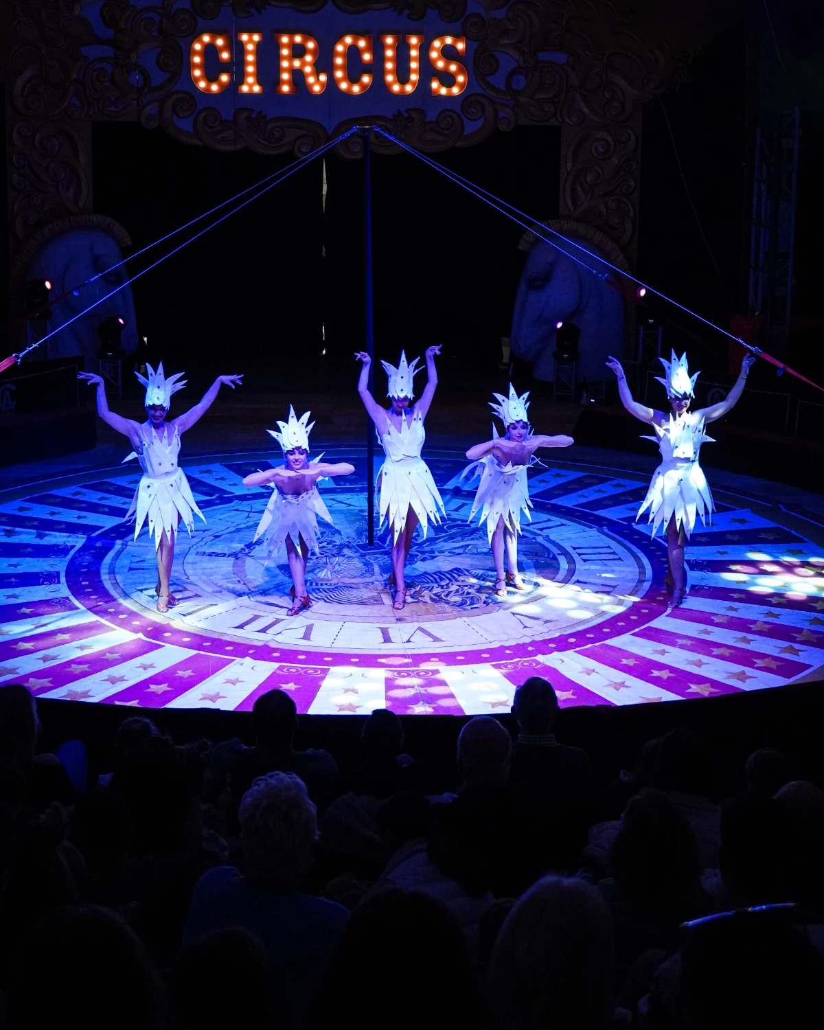 circo-navidad-alegria-live-3